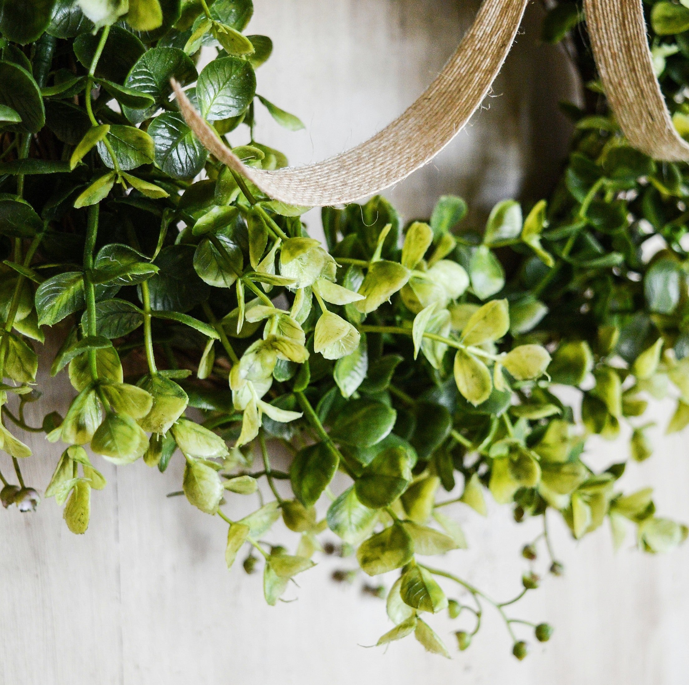 small eucalyptus wreath closeup