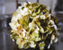 artificial hydrangea flowers green cream closeup