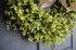 Close up of realistic faux eucalyptus and boxwood greenery on handmade grapevine wreath