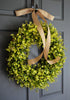 Farmhouse front door decorated with eucalyptus and boxwood greenery wreath, year round entryway decor