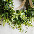 Close up of realistic eucalyptus greenery wreath leaves