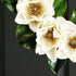 magnolia flower wreath on dark door closeup photo