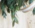 small ruscus wreath closeup photo